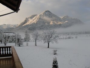 Unclassified image, 3 of 54, button - Ferienalm, Germany (Ruhpolding)