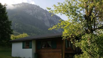 Eksteriør