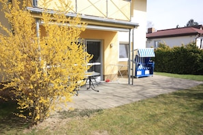 Terras