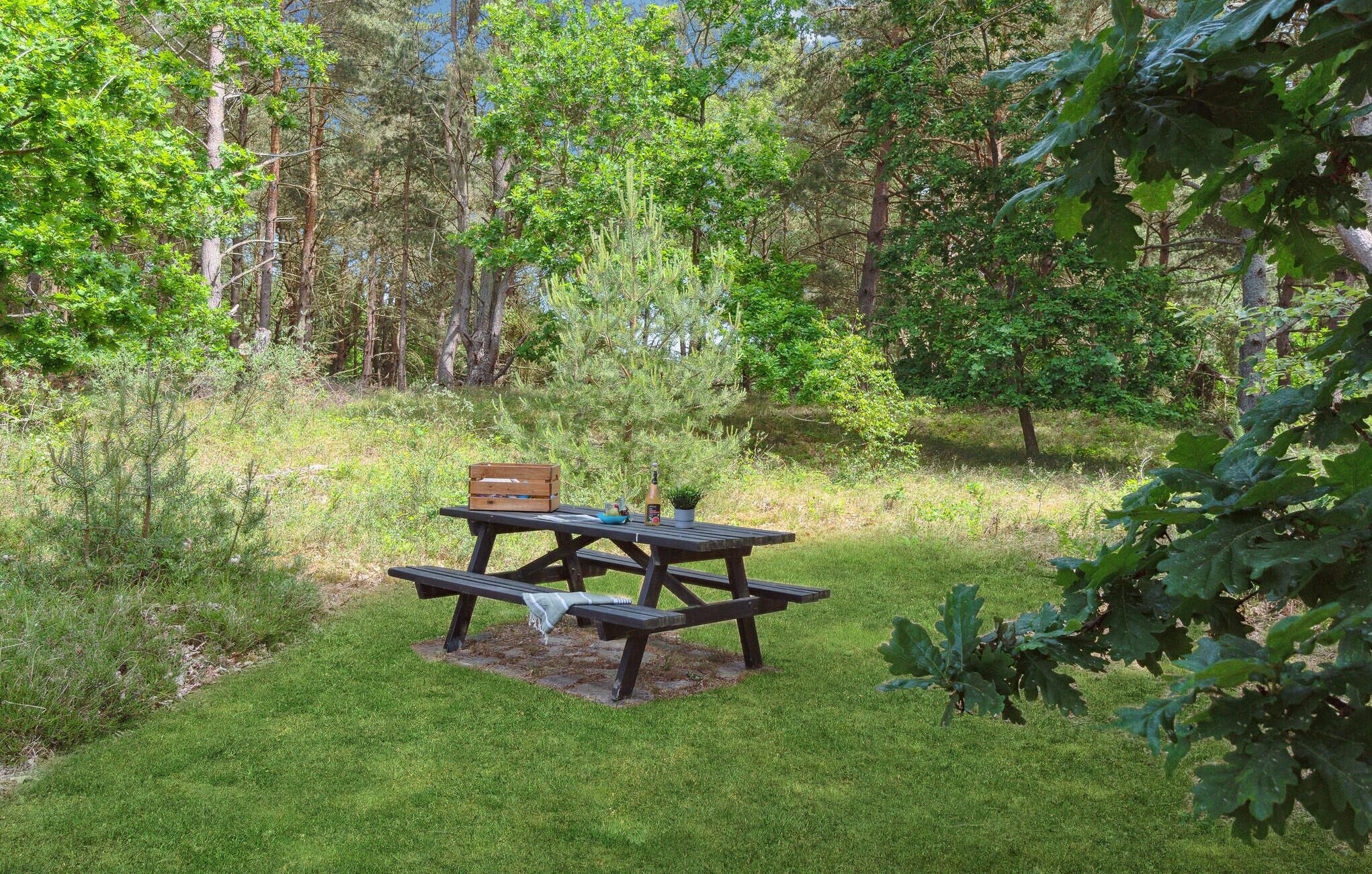 Een picknicktafel in een gazon, omringd door bomen.