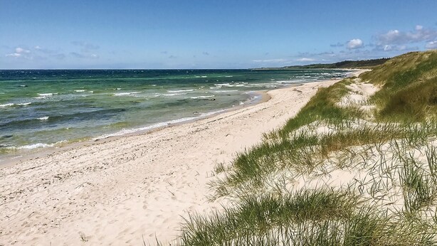 Una playa con agua cristalina y arena, con dunas cubiertas de hierba al fondo.