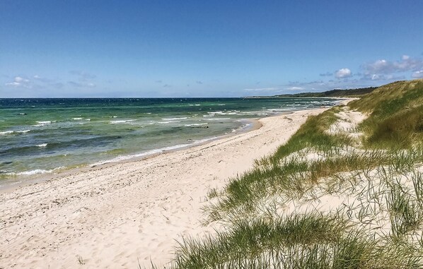 Playa en los alrededores 