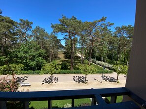 Unclassified image, 5 of 17, button