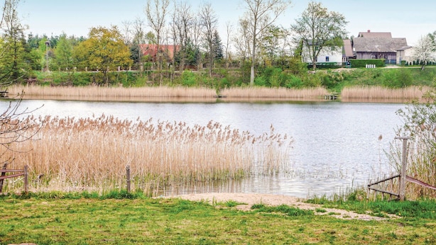 A tranquil lakeside setting with a grassy foreground, reeds, and a distant house.