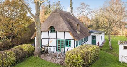 3 bedroom awesome home in Tranekær