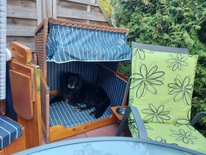 Botón de imagen sin clasificar, 4 de 16