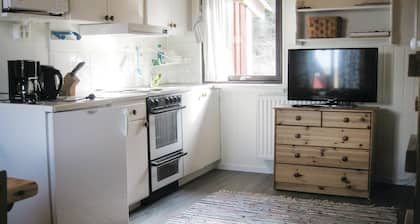 Superbe studio Ă Transtrand avec sauna