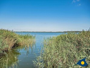 Imagem sem classificação, 3 de 17, botão