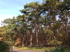 Unclassified image, 2 of 11, button