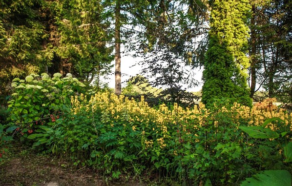 Overnatningsstedets område