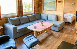 Televisor i llar de foc 