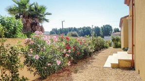 A garden with a pathway leading to a building with a tiled entrance.