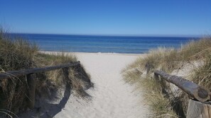 A sandy beach path leading to the ocean, flanked by wooden railings and grass.