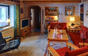 Fireplace, DVD player - Gorgeous home in Särna with sauna (Särna)