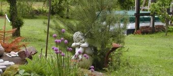 Room 8 - House by the forest