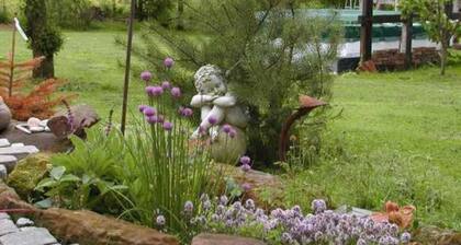 Zimmer 8 - Haus am Wald