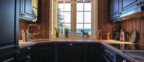 Fridge, stovetop, dishwasher