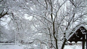 A snow-covered park with bare trees and a gazebo.