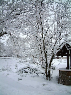 A snow-covered park with bare trees and a gazebo.
