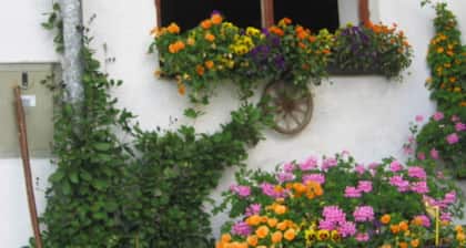 Location Aiplspitz - Gottenbichlhof