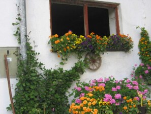 Imagen sin descripción, 3 de 18, botón