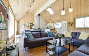 TV, caminetto, lettore DVD, tavolo da calcetto