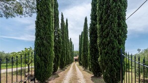A gravel path flanked by tall cypress trees, leading to a building with a tiled roof. - 2 bedroom beautiful home in Massa Marittima GR (Massa Marittima GR)