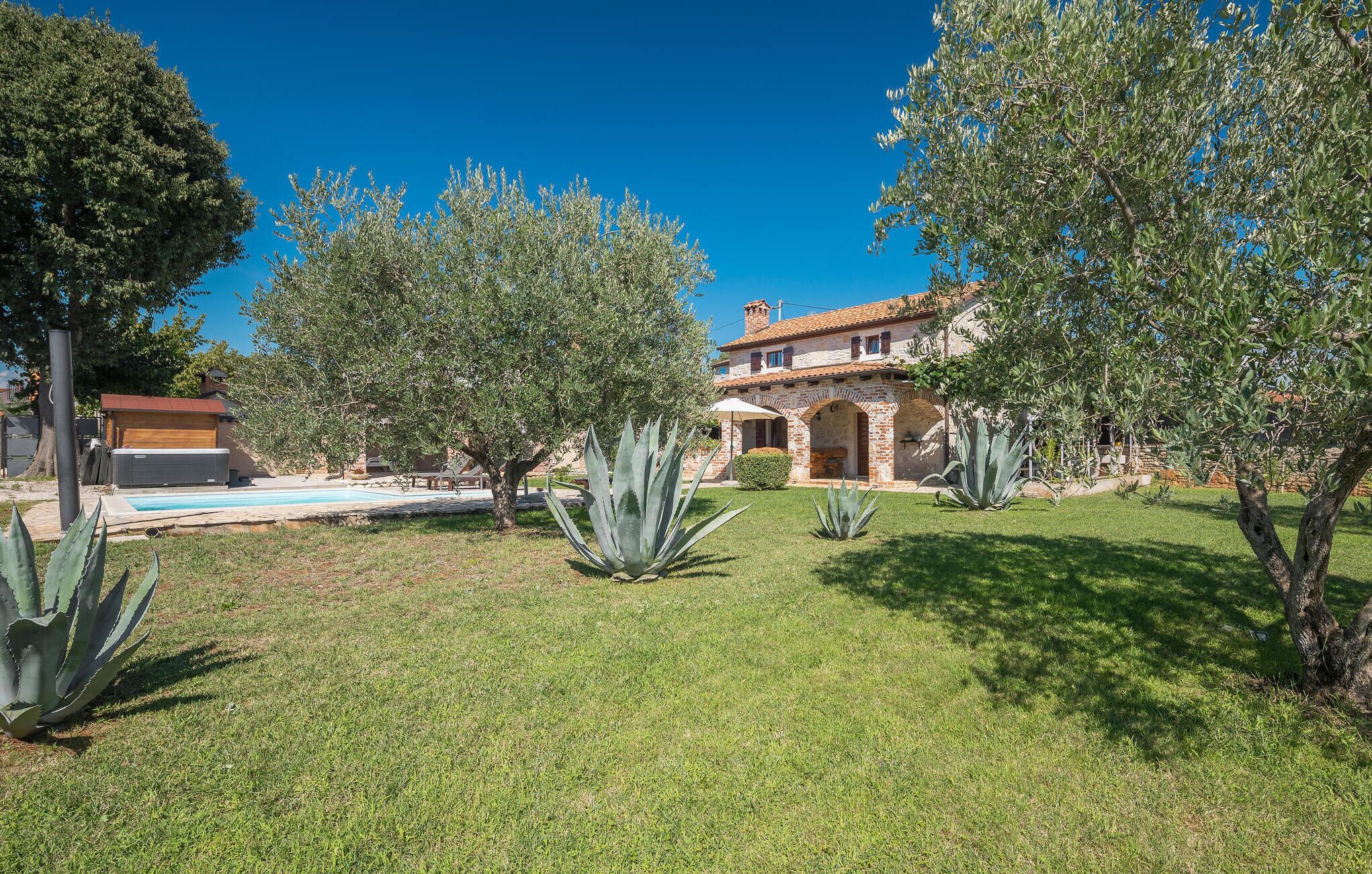 A house with a swimming pool, surrounded by a well-maintained lawn and large agave plants.