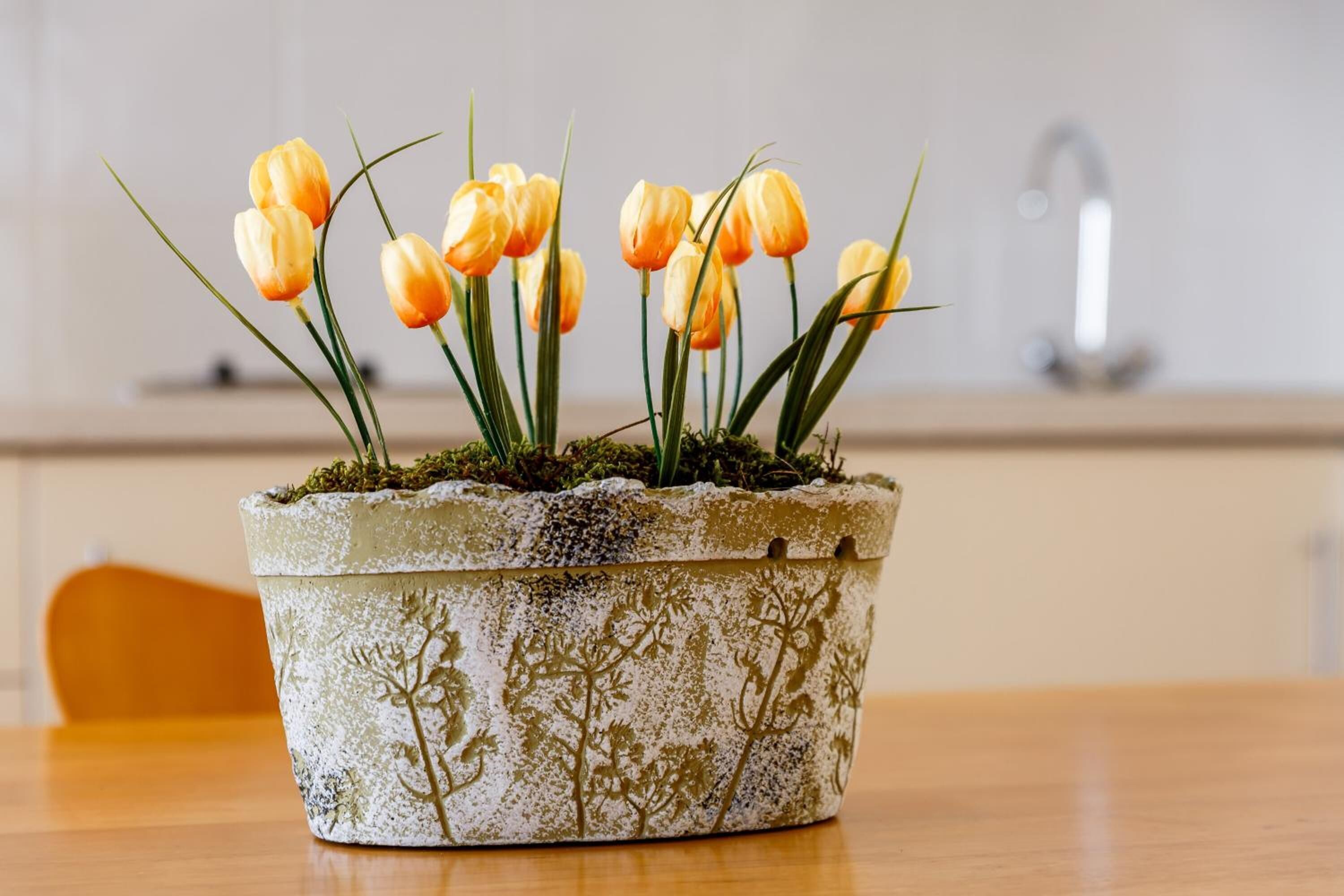 Una planta en maceta con tulipanes amarillos sobre una mesa de madera en una cocina.