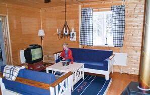 TV, fireplace, DVD player