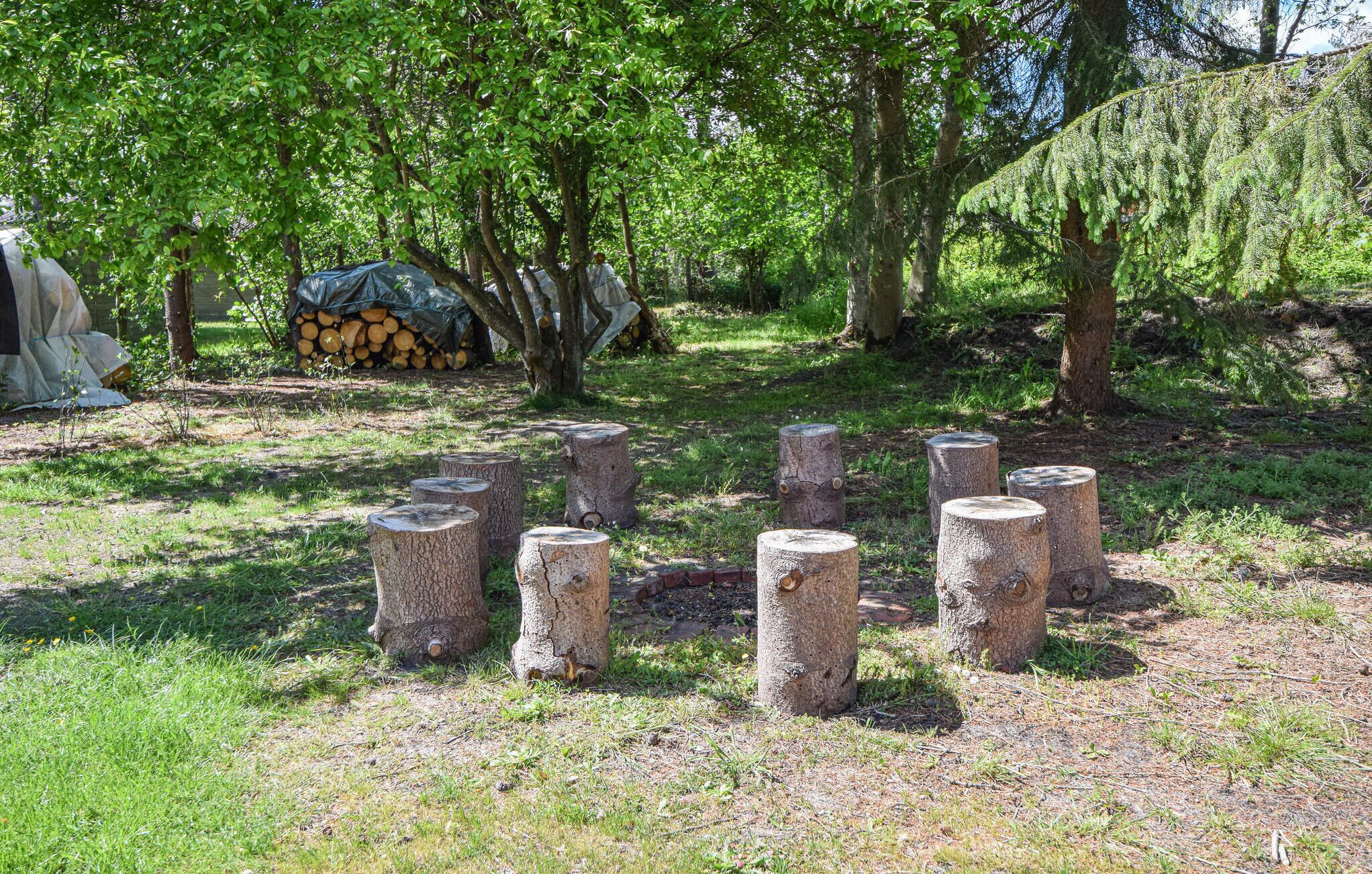Une zone boisée où plusieurs souches d’arbres sont disposées en cercle.