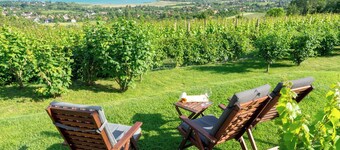 Holiday home with internet access, in the middle of nature