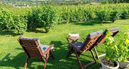 Holiday home with internet access, in the middle of nature