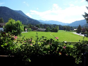 A rural landscape with a large green field, a wooden fence, and houses in the background.