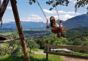 Imagen sin descripción, 2 de 26, botón