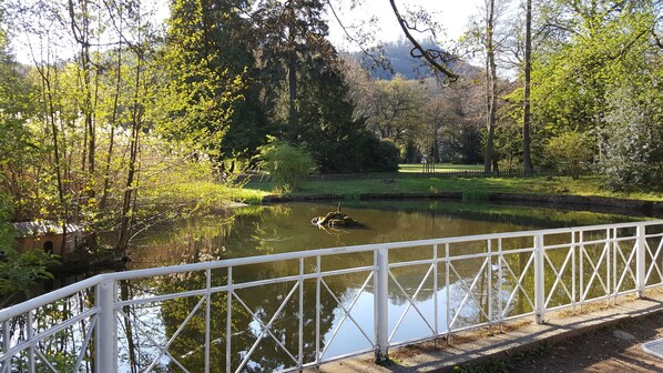 Overnatningsstedets område