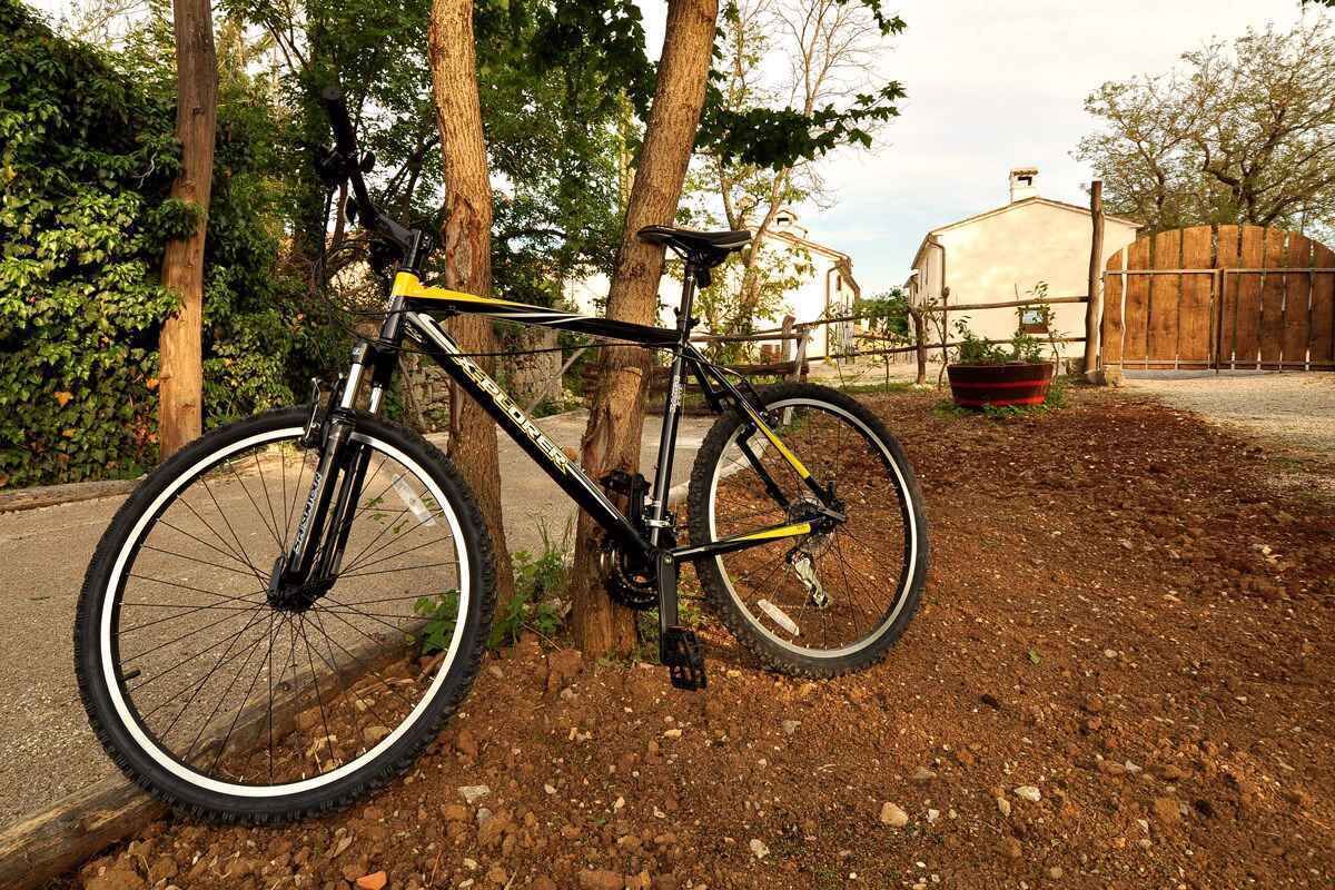 A mountain bike parked outdoors with trees and a building in the background.
