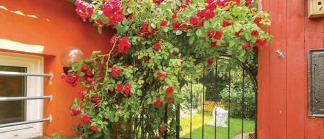 تفاصيل الفندق من الخارج