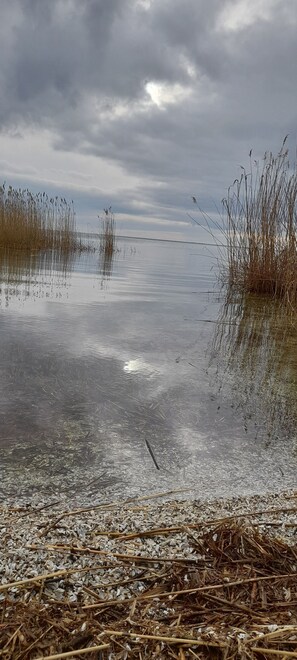 Image sans description, 4 de 14, bouton