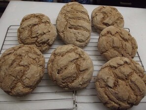 Unclassified image, 2 of 14, button - Meise - Family Pension & Apartments Lindenhof (Dargen)