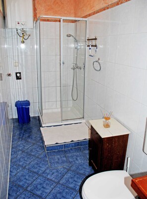 Regadera, secadora de cabello, toallas, papel de baño 