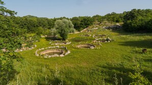 A natural landscape with stone structures and a tree.