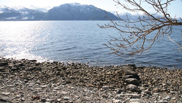 A rocky shoreline with a clear view of a lake and mountains in the background.