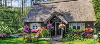 3 bedroom gorgeous home in Osiek