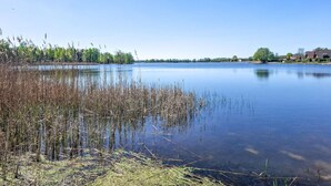 Un lago tranquilo con juncos en primer plano y casas al fondo.