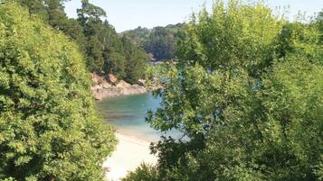 Vlak bij het strand, vissen