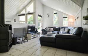 Televisión y chimenea 