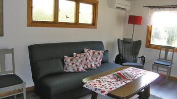 Télévision, cheminée, lecteur de DVD