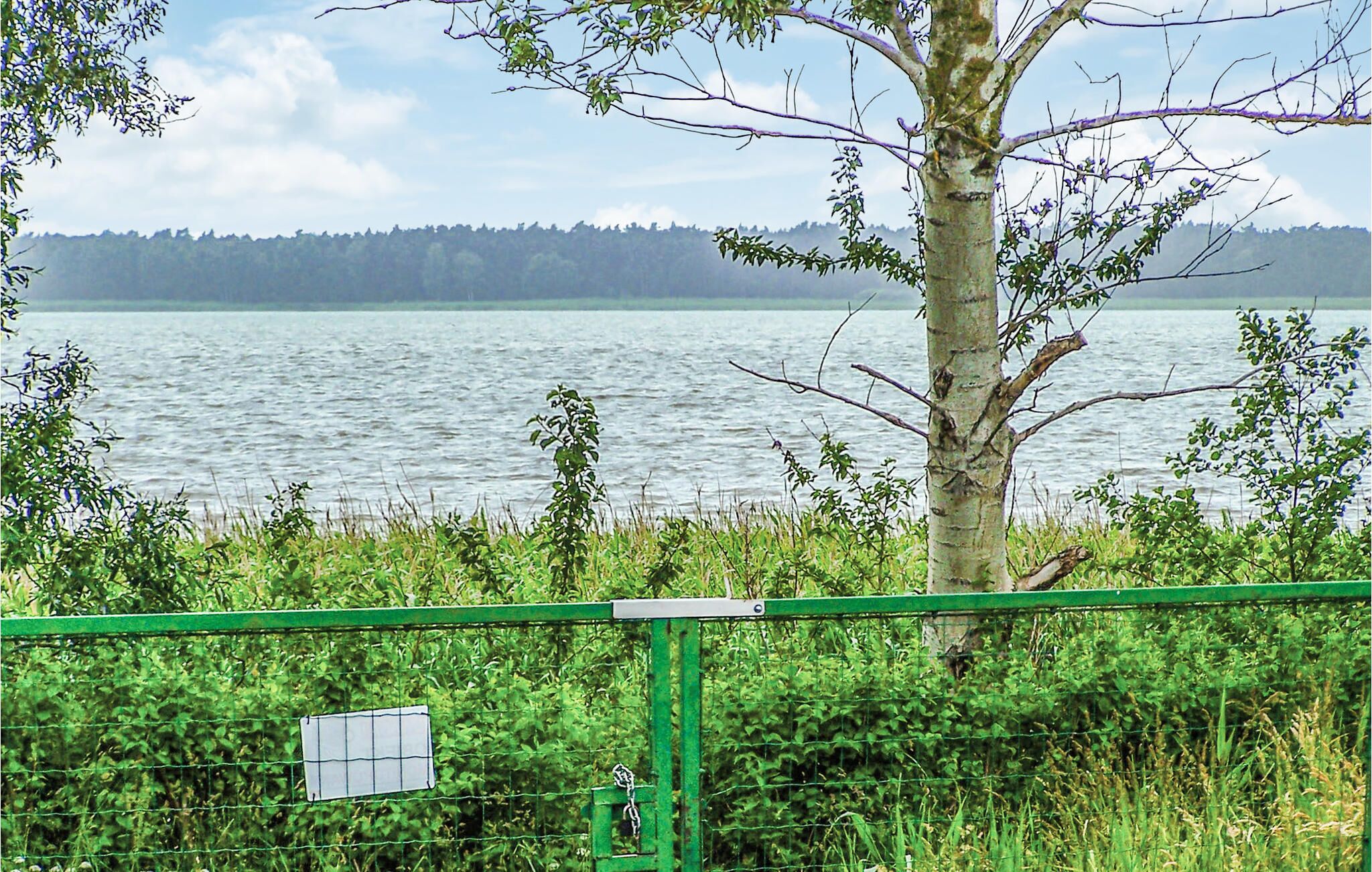 A view of a lake with a tree in the foreground and a green fence.