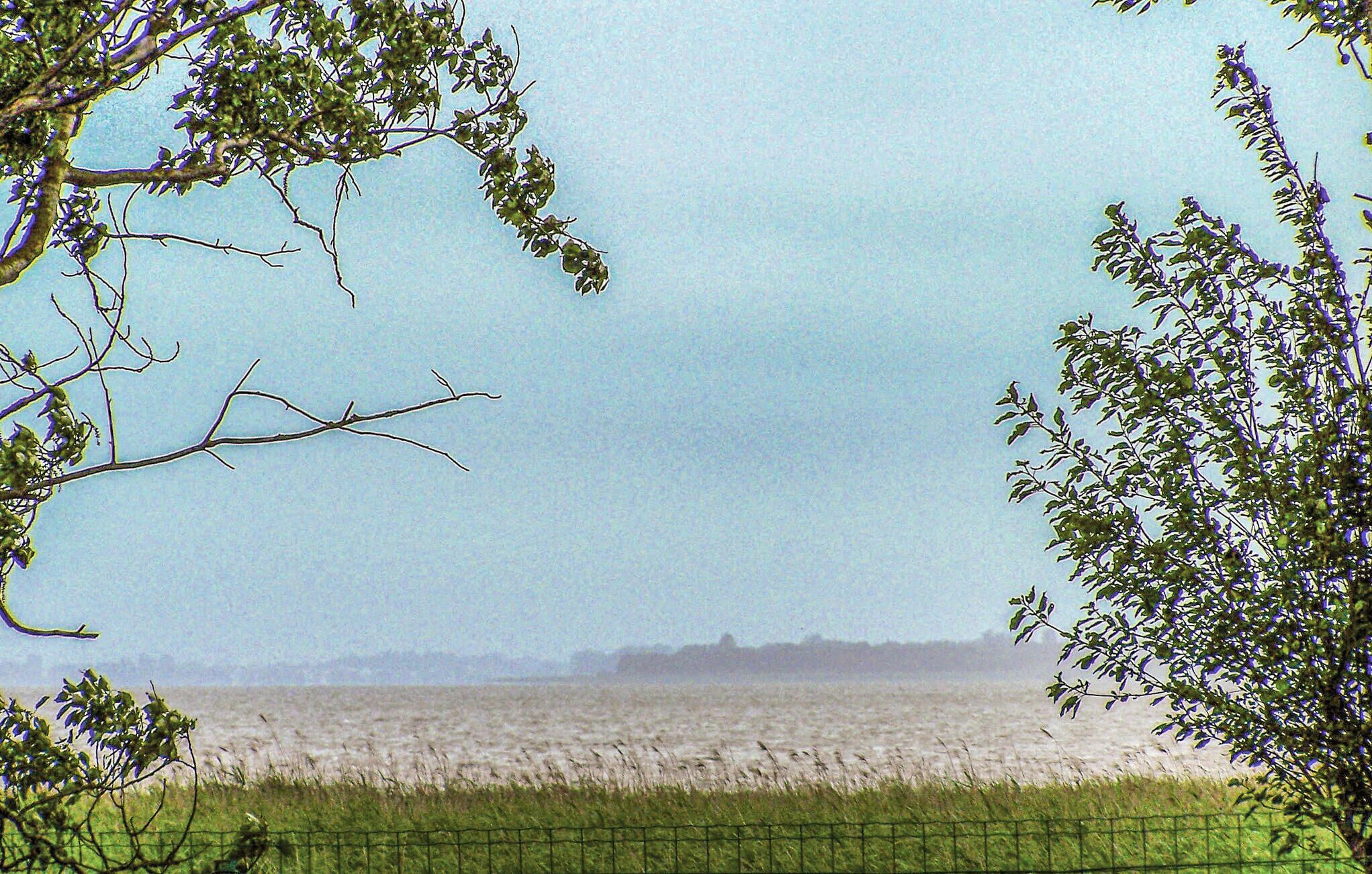 Vista d'un riu, amb una tanca al primer pla i arbres emmarcant l'escena.